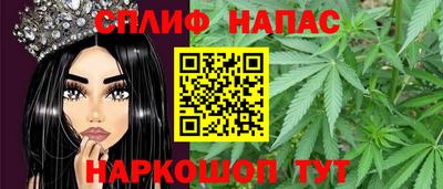 крисы Малгобек