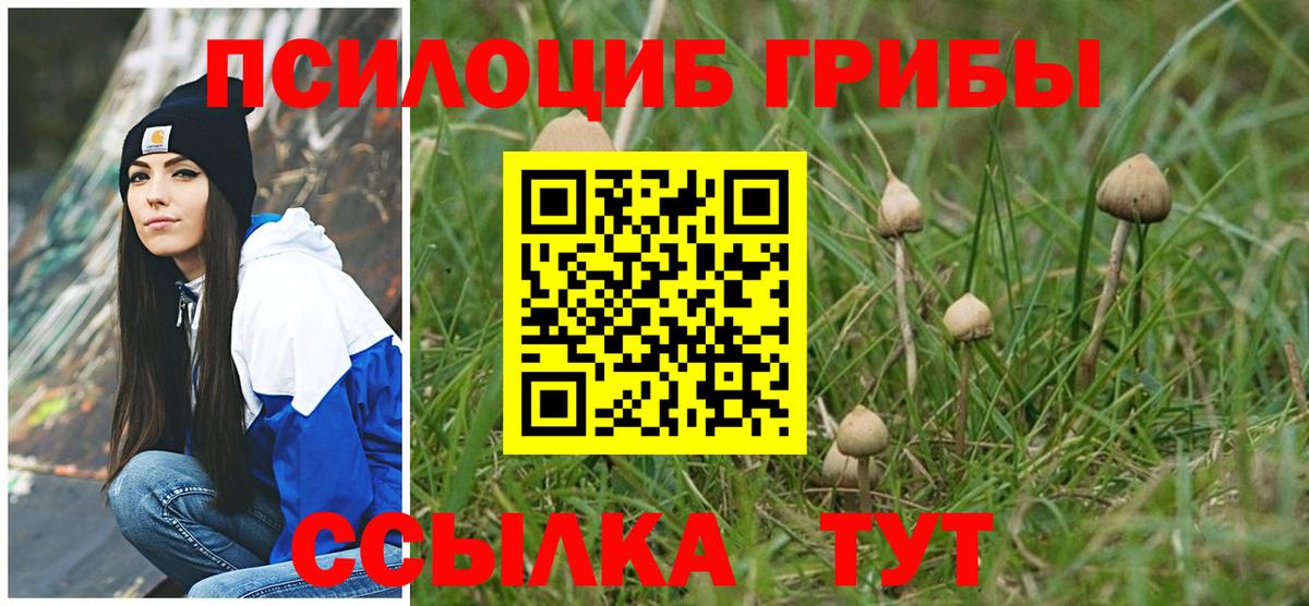 Псилоцибиновые грибы Cubensis Гагарин