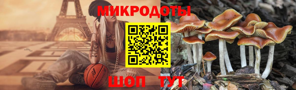 Галлюциногенные грибы Cubensis  Галлюциногенные грибы MAGIC MUSHROOMS  Гагарин  Вход с VPN 